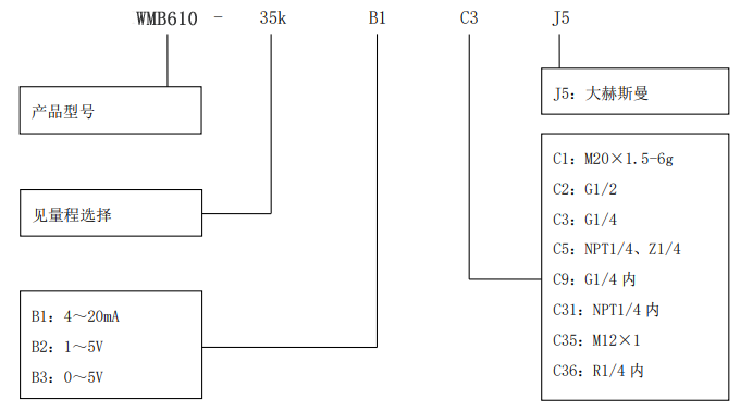 PCM610差壓變送器選型表
